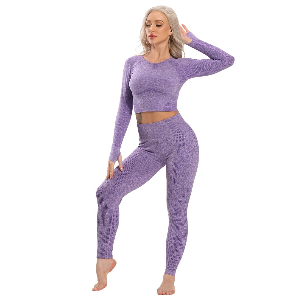 Seamless Yoga Sports Workout Sportswear Suit